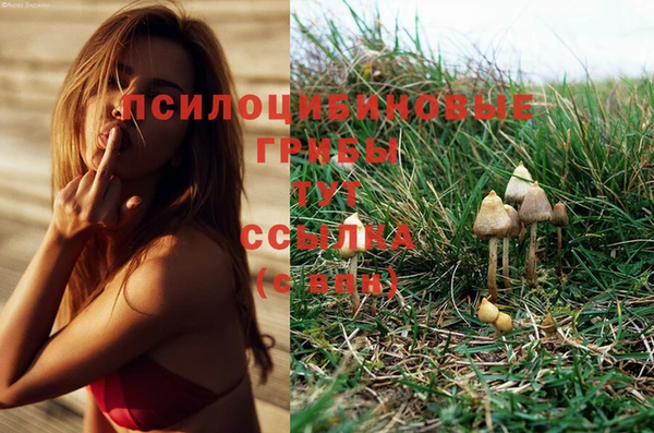 герыч Верея