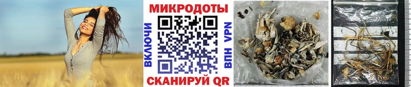 Галлюциногенные грибы GOLDEN TEACHER  Купить закладки  Байкальск 